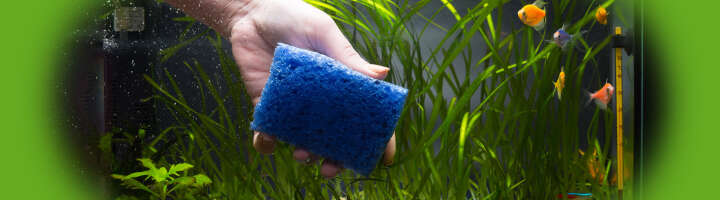 aquarienpflege kategorieeinstiegsbanner 2876x800